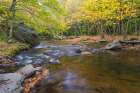 USA, North Carolina, Blue Ridge Parkway. Landscape with stream and forest. Art Print
